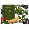 FORTE 24CPS - - 922374335