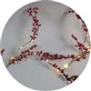 Zarivy Ghirlanda LED a bacche rosse 1,8 m a batteria, ideale per decorare feste, illuminare spazi e creare ambienti festivi.