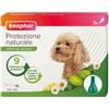 Beaphar Spot On - Soluzione Antiparassitaria Naturale per Cani di Taglia Piccola - Confezione da 3 Pipette da 1ml