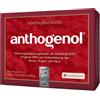 LA STREGA Srl MASQUELIERS ANTHOGENOL 90 Cps