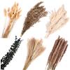 Behiruch 110 Pezzi Bouquet di Pampas Grass Essiccato, Naturale Fiori Secchi Decorativi, Pampas Decorative Abbinamento Eucalipto Essiccato, Fiori Boho per Soggiorno, Camera, Tavolo Matrimonio