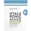 Incarose Hyaluronic Maschera Tessuto Regeneranting 15ml