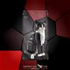 SHOWCASE LAB TECA IN PLEXIGLASS ACRILICO-SHOWCASE-TECA PER LEGO 21349-GATTO TUXEDO-CAT TUXEDO