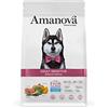 Amanova Cibo Secco per cani adulti di taglia media o grande con pelle o pelo sensibile Gusto salmone - 100% Naturale, ipoallergenico e monoproteico - Grain Free - Cruelty Free - Formato da 10 kg