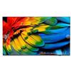 Philips Smart TV Philips 58HFL6214U/12