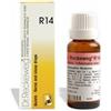 DR.RECKEWEG & CO. GMBH RECKEWEG R14 GOCCE 22ML