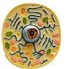 NM Modello Cellula Vegetale