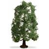 Noch N20110 - Albero modello, colore: Verde