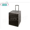 Contenitore Isotermico in Polipropilene TROLLEYBOX, dim.mm.420x420x600h