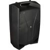 Proel V15 PRO Diffusore Audio Attivo 2vie 600W Picco sezione DSP x suono HQ Nero
