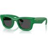 Ray-Ban Wayfarer Puffer RB 4940 (683487)