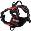 Flamingo Pettorina BALOU Rosso S 40-55CM 20MM