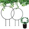 EQLEF Traliccio da Giardino per Piante Rampicanti Metallo 2 Pz, Rotondo Decorativo Metallo Giardino Pali di Supporto Pianta per Indoor ed Outdoor Ivy Hoya Pianta