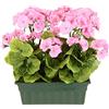 Flair Flower Geranio artificiale in scatola Busch Pelargonien - Pianta artificiale in seta, decorazione da tavolo, decorazione per la casa, classica pianta in vaso, rosa, 36 x 30 x 18 cm