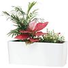 SAROSORA Fioriera rettangolare autoirrigante da 35,6 cm, con indicatori del livello dell'acqua, per piante e fiori, casa, giardino, piante grasse, per interni ed esterni, vaso per erbe, scatola con