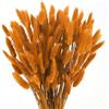 Minnhua 120 Pezzi Fiori Secchi Decorativi,Pampas Decorative, Arancione Fiori Essiccati di Bunny Tails,Fiori Secchi Naturali,Erba di Pampa Essiccata Naturale per Matrimoni, Feste, Decorazioni Boho