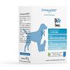 DYNAMOPET | DìTe Small - Alimento Complementare per Supportare Rene e Cuore di Cani e Gatti, Confezione 20 Bustine da 2,5 g - una Bustina ogni 5 kg di Peso dell'Animale