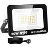 RIGIDON Faretto LED da Esterno con Spina, 1x 30W 3000LM Fari di Sicurezza, Proiettore Led, Faretti lampada Per Giardino Cortile Garage Parete Officina Patio, IP66 Impermeabile 3000K Bianco Caldo