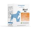 DYNAMOPET | DìGea F Small - Alimento Complementare per Favorire le Fisiologiche Funzioni Depurative di Cane e Gatto, Confezione 20 Bustine da 1 g - una Bustina ogni 5 kg di Peso dell'Animale