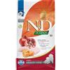 FARMINA N&D Pumpkin Puppy Medium & Maxi Chicken, Pumpkin & Pomegranate 2.5 kg