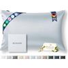 RENESSY Federa in Seta 100% Bio 50x70 cm - 22 Momme Seta di Gelso, Grado 6A, Certificata Oeko-Tex in Germania - Lusso per i Capelli e la Pelle, 1 Pezzo (Blu Nuvola)