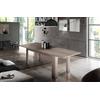 Dmora - Tavolo allungabile Nanni, Consolle allungabile Fino a 10 posti, Consolle Estensibile 100% Made in Italy, cm 140/190x90h75, Olmo Perla