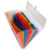 EXACOMPTA CLASSIFICATORE A 13 TASCHE 33x25cm IN PPL CRYSTAL