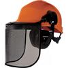 DELTAPLUS Elmetto tipo Forestale FORESTIER 3 arancio