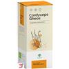 GHEOS Srl CORDYCEPS GHEOS 90 CAPSULE DA 540 MG