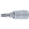 BGS 7098-T20 | Inserto estrattore per viti | Azionamento quadrato interno 6,3 mm (1/4) | per profilo a T difettoso (per Torx) T20