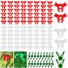 TAIZER Supporto per Piante,TAIZER 120PCS Sostegno per Piante Rampicanti Plant Training Biege Clips Clip Piegatrici per Piante Clip per Allenamento Basso Stress Supporto per Stelo Delle Piante Clip per Piante