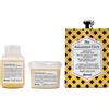 Davines TRIAL KIT TRAVEL Capelli rovinati