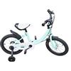 SailorMoon Bicicletta per bambini da 16 pollici, per bambini dai 5 agli 8 anni, con ruote di supporto, per ragazzi e ragazze, per attività all'aperto, sportiva, per bambini, con ruote di supporto, freno a