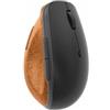 Lenovo Go, Mano destra, Design verticale, Ottico, RF Wireless, 2400 DPI, Grigio