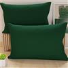 PETTI Artigiani Italiani - Coppia di Federe Cuscino 50x70 cm in Microfibra, Cuscini Arredo Camera da Letto, Divano, Set 2 Fodere Copricuscino, Federa Tinta Unita Verde, 100% Made in Italy