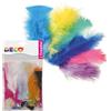 CWR Piume colorate 10gr DECO
