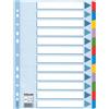 ESSELTE Intercalare MYLAR 12 tasti colorati - f.to A4 ESSELTE