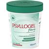 Giuliani spa PSYLLOGEL FIBRA NEUTRO 170 G