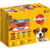 Pedigree Multipack Pedigree in Gelatina Umido per cane - Set %: 24 x 100 g