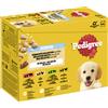 Pedigree Multipack Pedigree Junior in Gelatina Umido per cane - 12 x 100 g Selezione mista in gelatina (4 varianti)