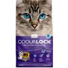 Intersand LETTIERA OdourLock LAVANDA 12kg