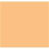 COTECH - LEE FILTERS - SPOTFILTER FILTRO GELATINA PER PROIETTORI - ROTOLO - FROST-CTB-CTO-.ND