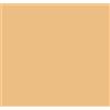 COTECH - LEE FILTERS - SPOTFILTER FILTRO GELATINA PER PROIETTORI - ROTOLO - FROST-CTB-CTO-.ND