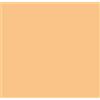 COTECH - LEE FILTERS - SPOTFILTER FILTRO GELATINA PER PROIETTORI - ROTOLO - FROST-CTB-CTO-.ND