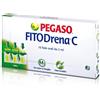 SCHWABE PHARMA ITALIA Srl FITODRENA C 10F OS 2ML