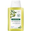 KLORANE (Pierre Fabre It. SpA) Klorane Shampoo al Cedro 100ml