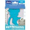 ARTSANA Chicco Massaggiagengive Refrigerante Koala 4 Mesi + Azzurro