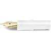 Kaweco Spare Nib gold Kaweco for Sport Classic white (F)