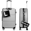 DS-Lux Valigia da viaggio di alta qualità, rigida, trolley trolley a mano, in plastica ABS con serratura TSA, 4 ruote spinner (S-M-L-Set), Grigio V2, L, valigetta