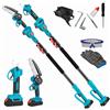 Dealix Kit Potatura Elettrico 3 in 1 con Asta Telescopica 2,5M, Forbici, Motosega 6" a Batteria, 2 Batterie 2.0Ah, Attrezzi Giardinaggio,Cesoia,troncarami,Per Rami, Alberi, Giardino, Vigneti, Orti DEALIX